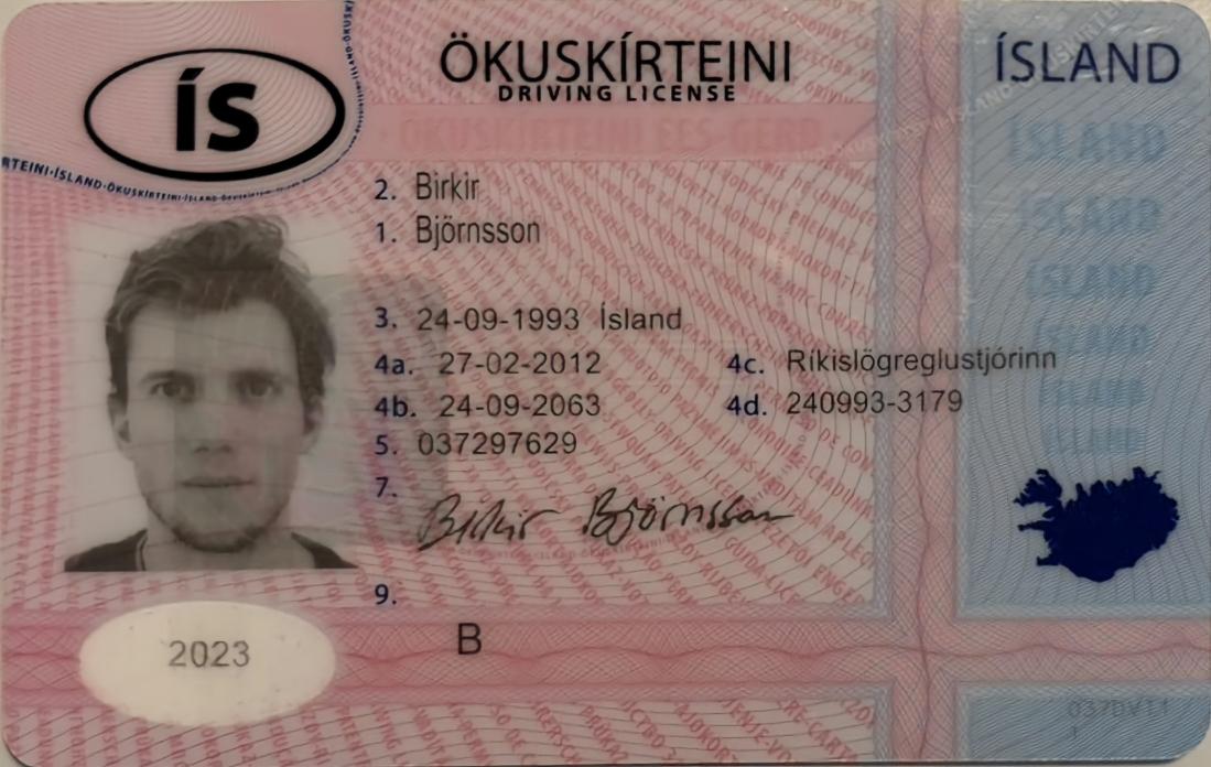 thumb_iceland-license-translator_original_(1).jpg