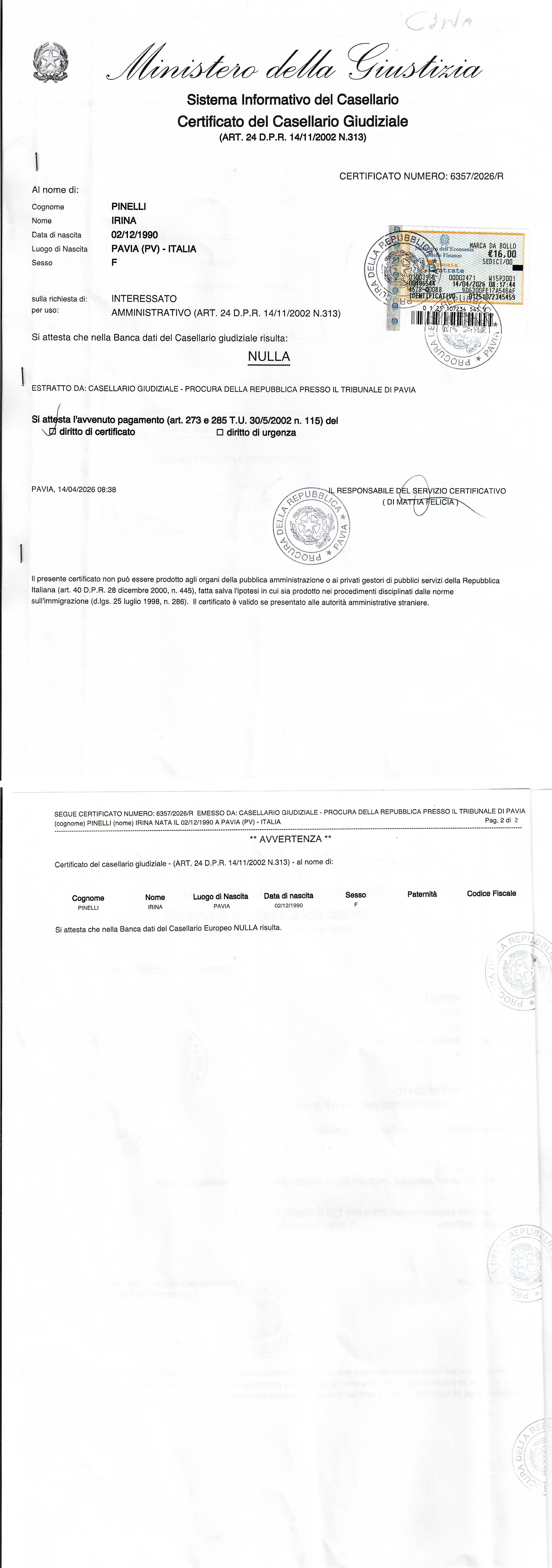 thumb_italy-no-criminal-translator_original.jpg
