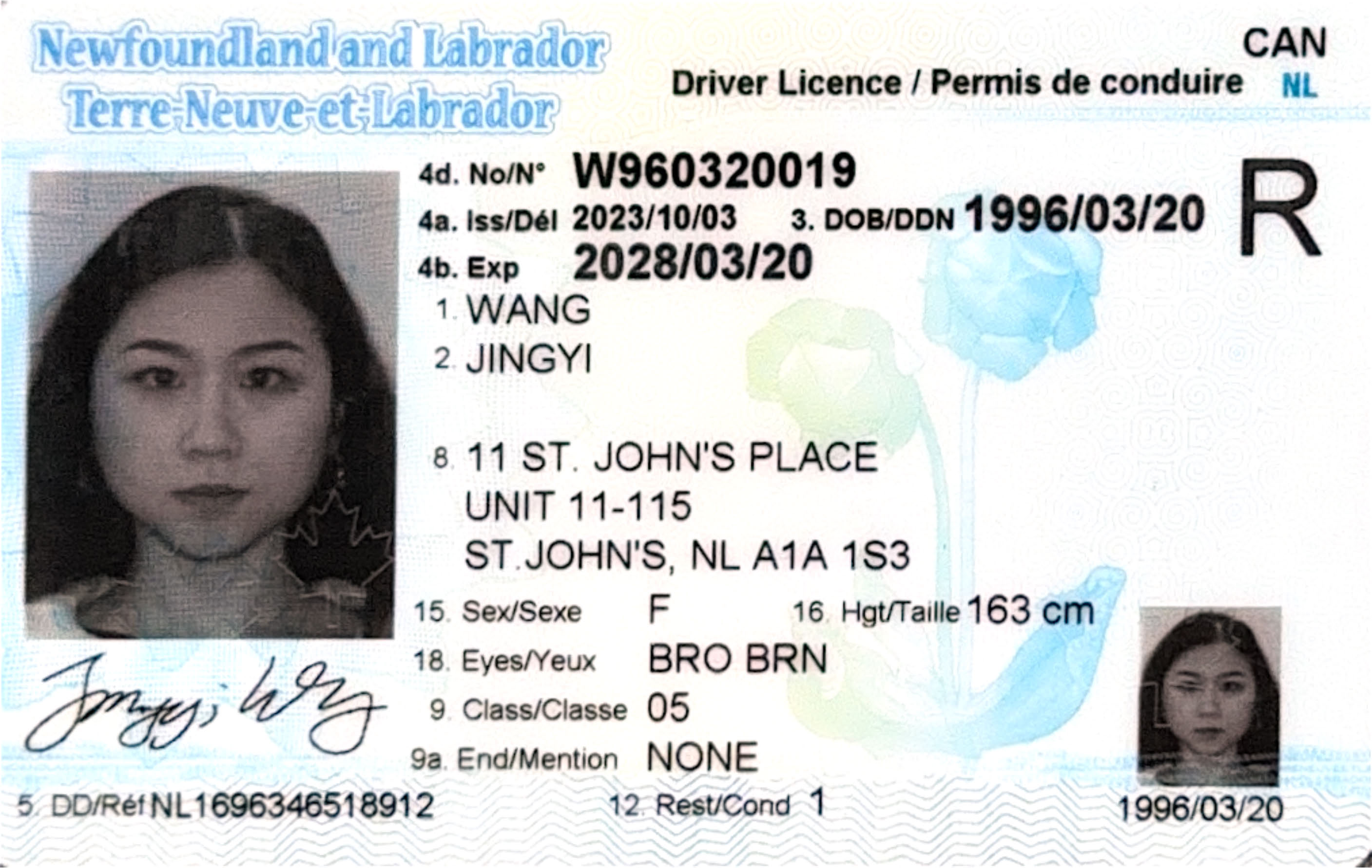thumb_newfoundland-labrador-license-translator_original_(1).jpg