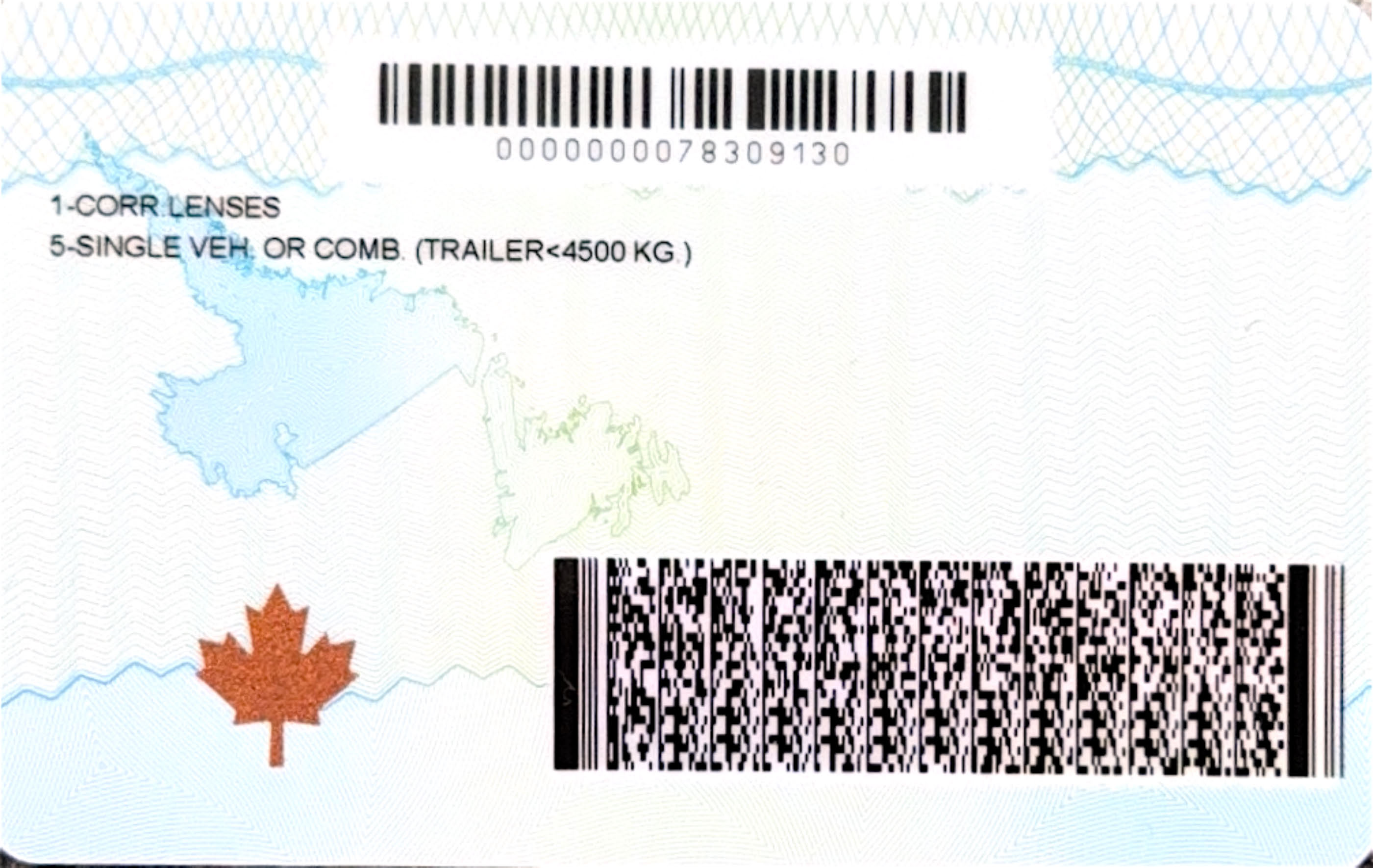 thumb_newfoundland-labrador-license-translator_original_(2).jpg